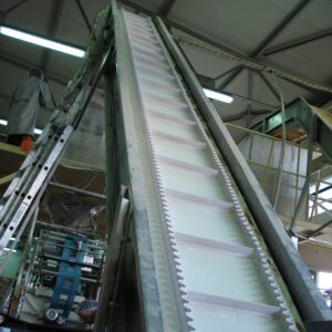 Elevatorul tip lebada EDA-101C